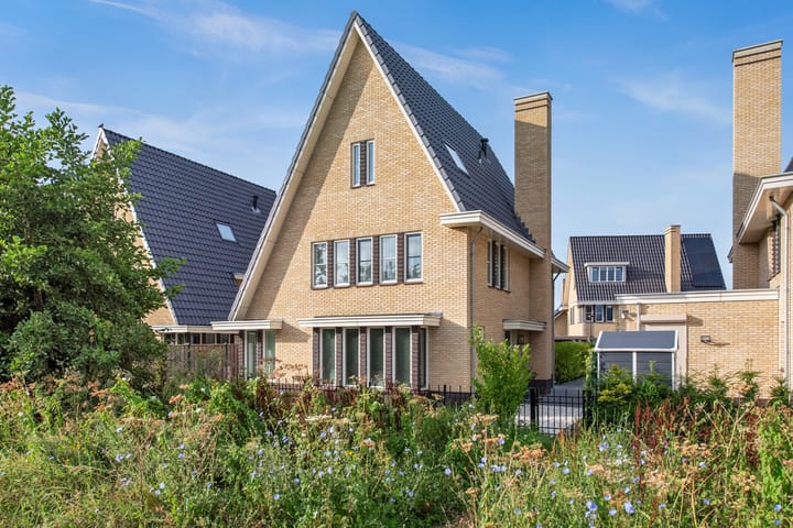 Foto 1 van Coloradostroom 21