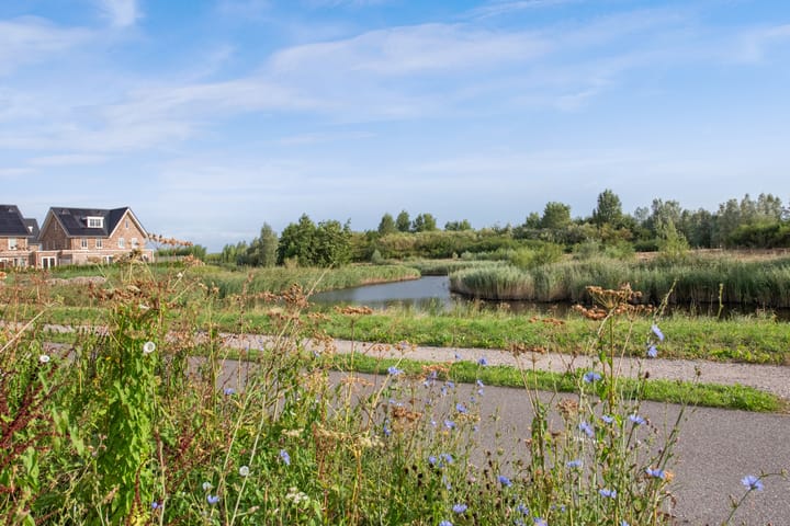 Foto 17 van Coloradostroom 21