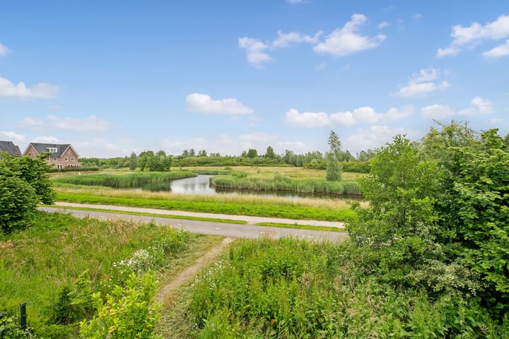 Foto 23 van Coloradostroom 21