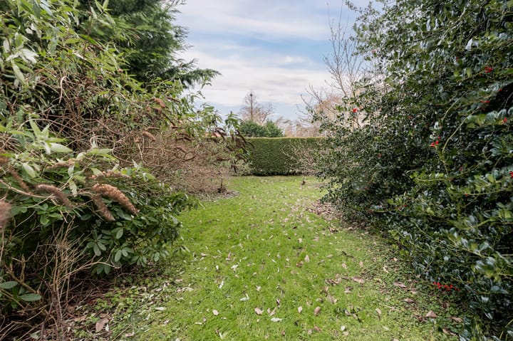 Foto 9 van Den Ilp 51