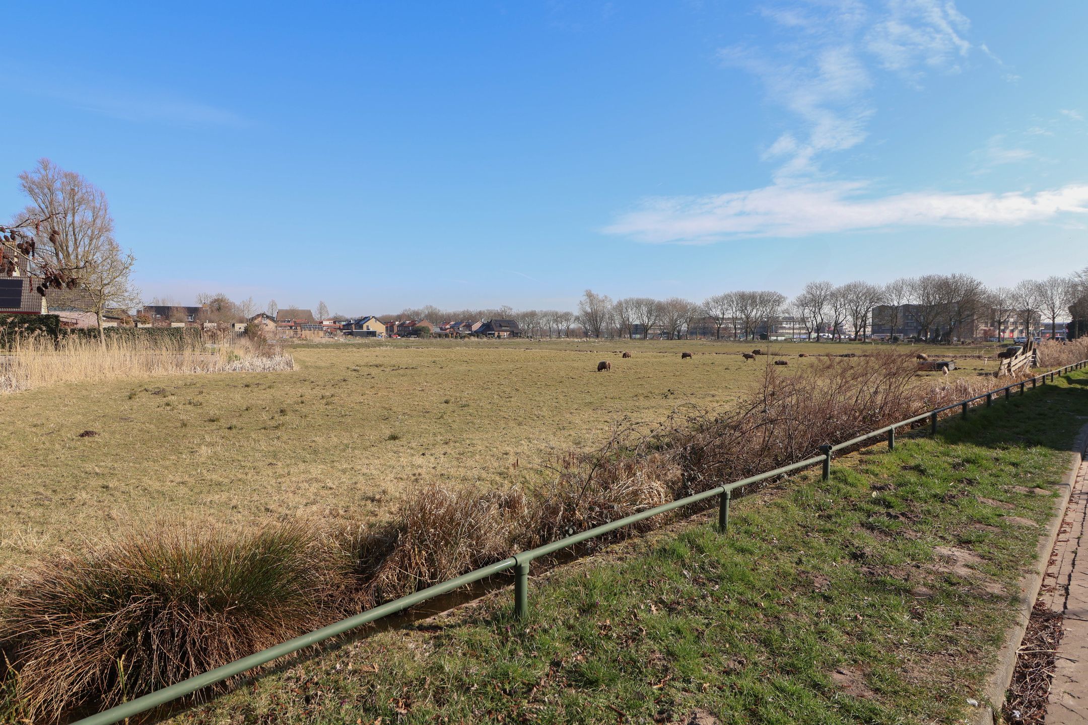 Foto 3 van Paulus Potterstraat 1