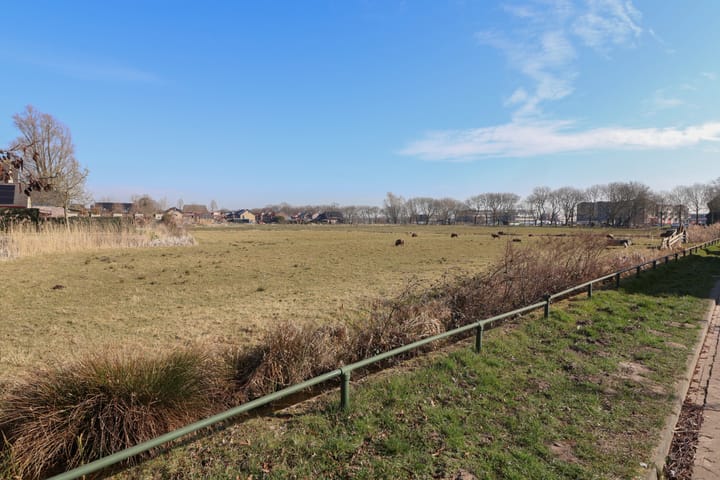 Foto 3 van Paulus Potterstraat 1