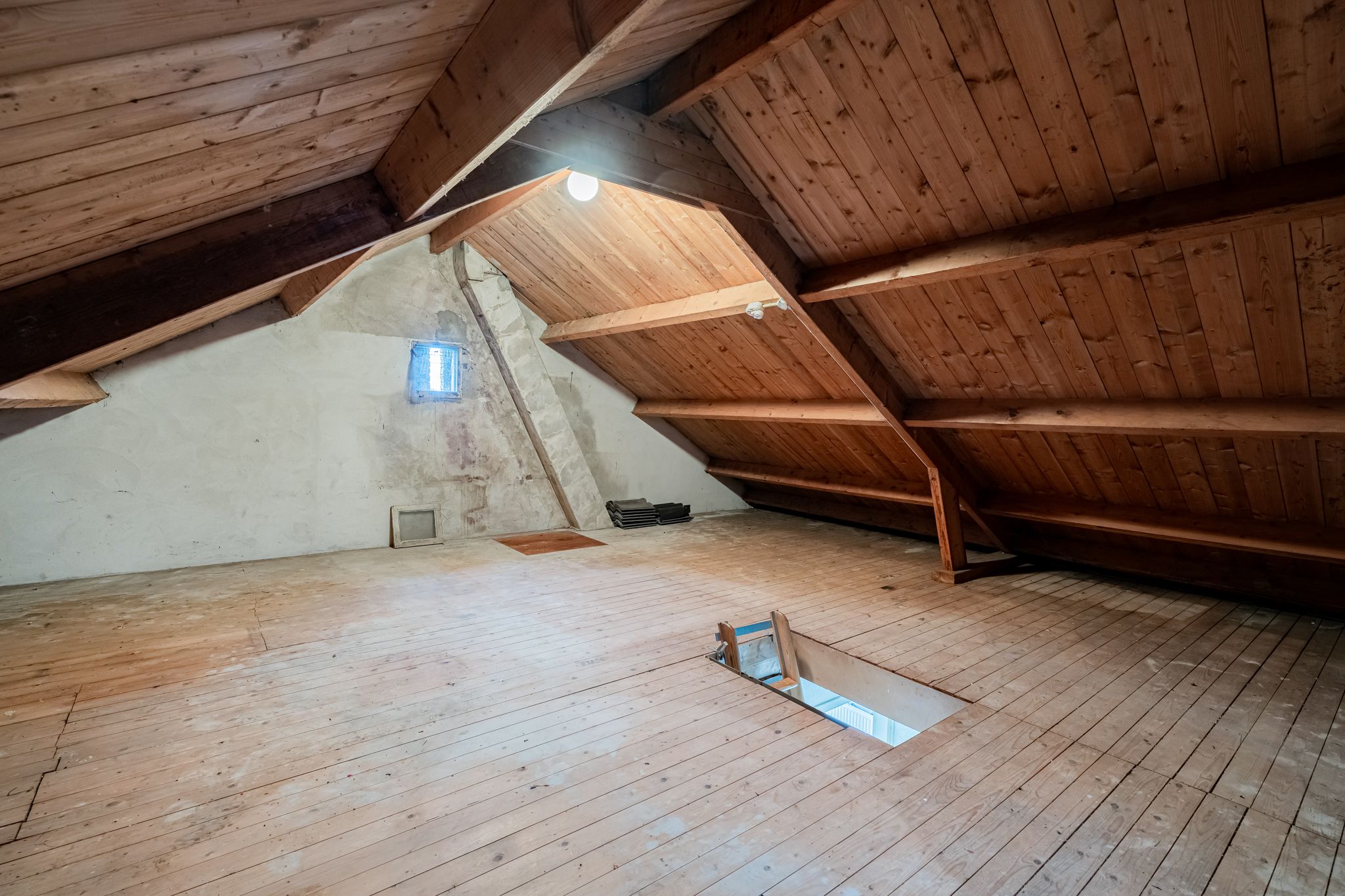 Foto 21 van Den Ilp 51