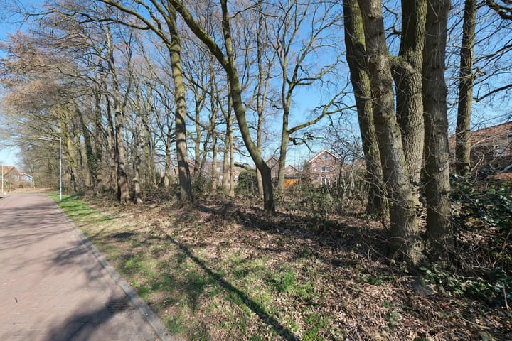 Photo 27 of Orvelterzand 10