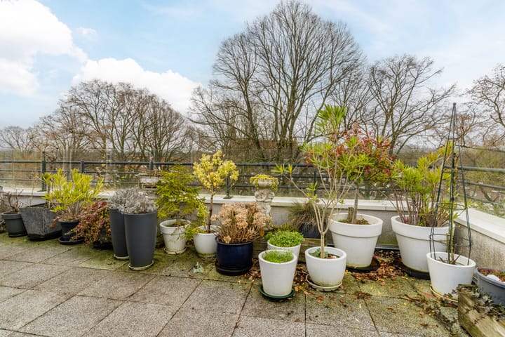 Foto 30 van Lizzy Ansinghhof 21