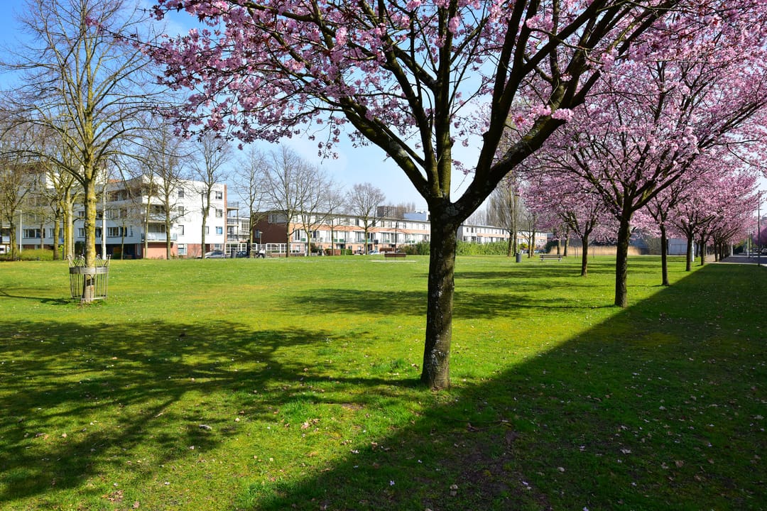 Foto 23 van Hermitagelaan 41