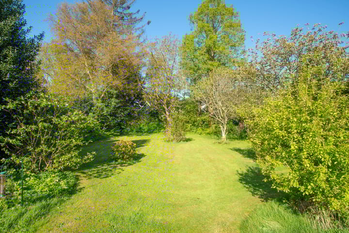 Foto 3 van Bakkummerstraat 48