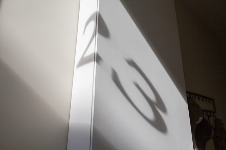 Photo 39 of Palmstraat 23