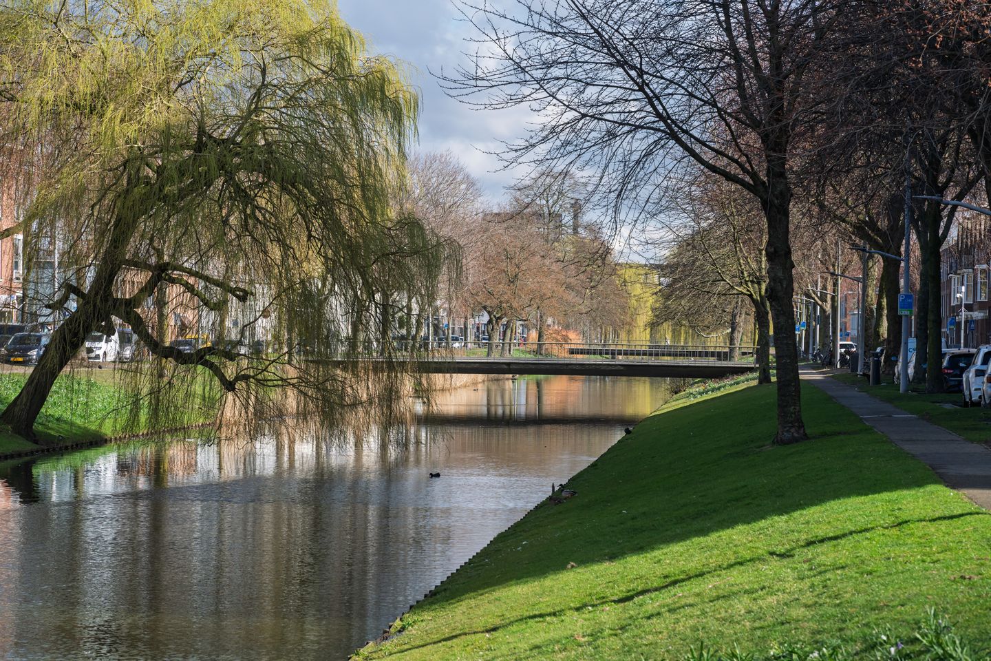 Foto 34 van Strevelsweg 235