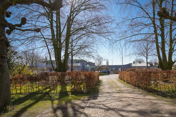 Foto 41 van Nedereindsestraat 32