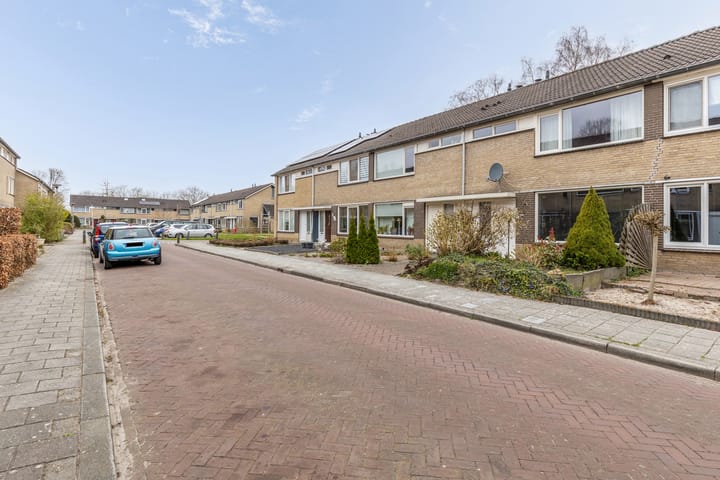 Foto 3 van Omloop 37