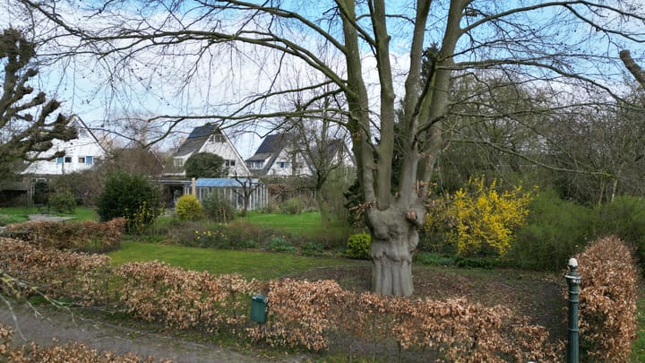 Foto 42 van Nedereindsestraat 32