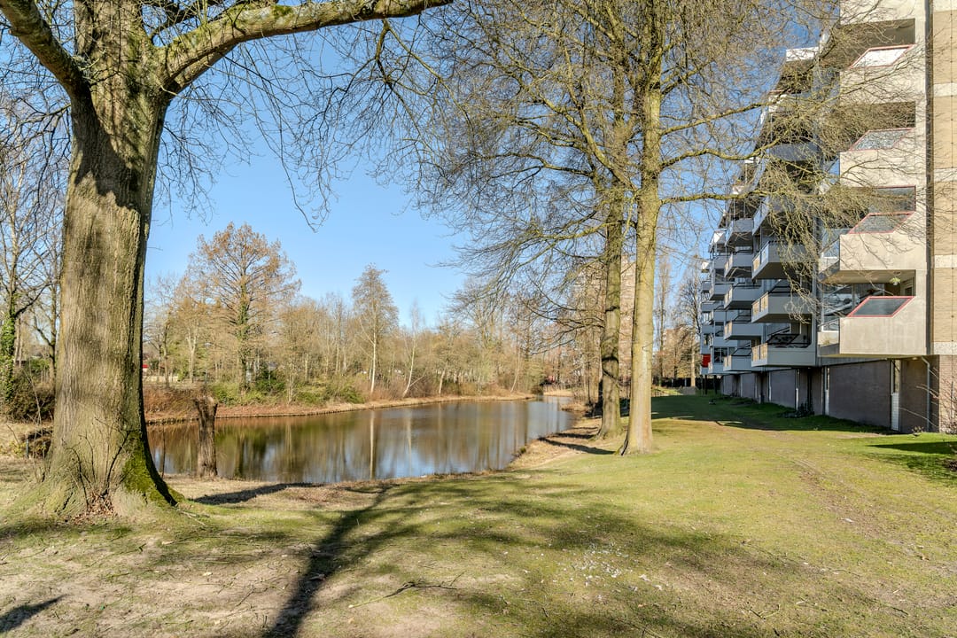 Foto 31 van Veenbesstraat 716