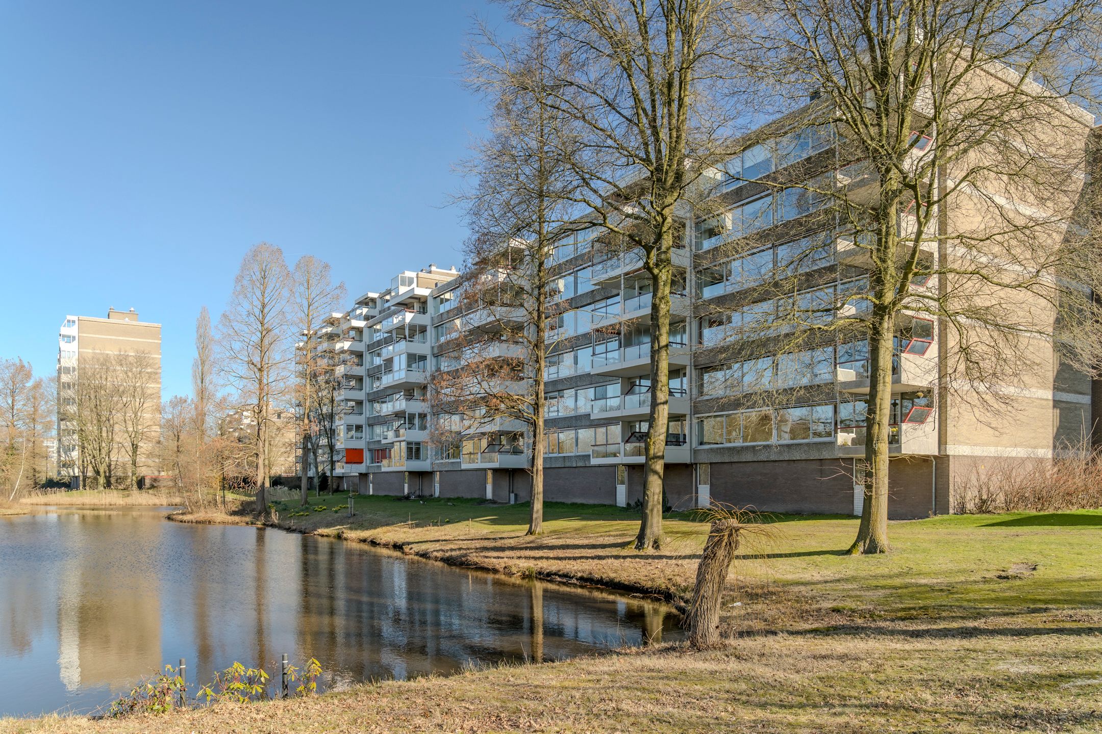 Foto 33 van Veenbesstraat 716