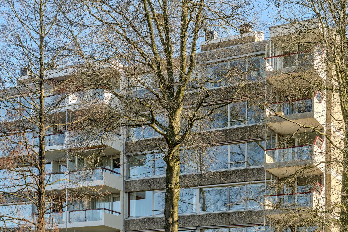 Foto 35 van Veenbesstraat 716