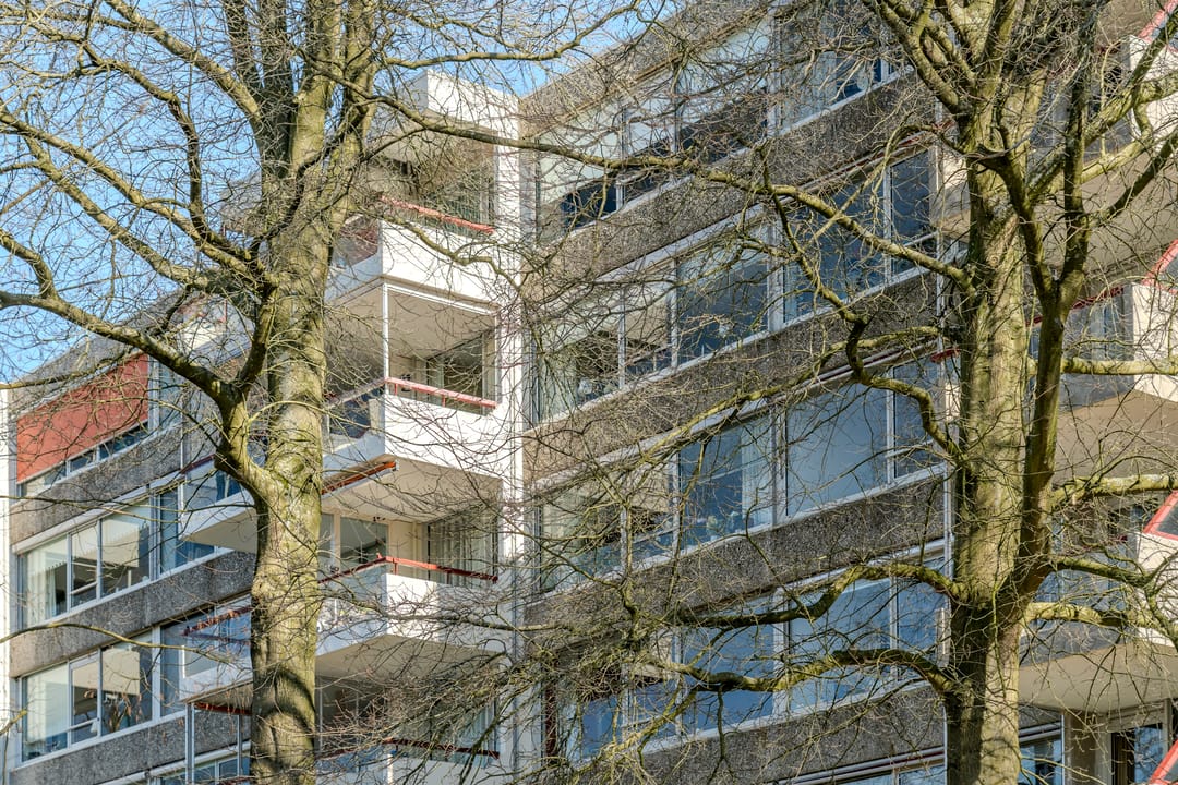 Foto 38 van Veenbesstraat 716