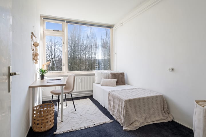 Foto 24 van Kasterleestraat 254