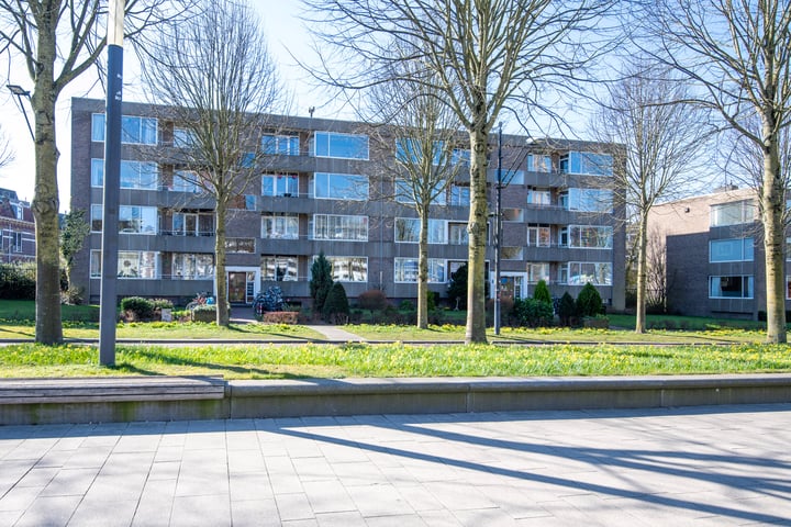 van Schaeck Mathonsingel 87