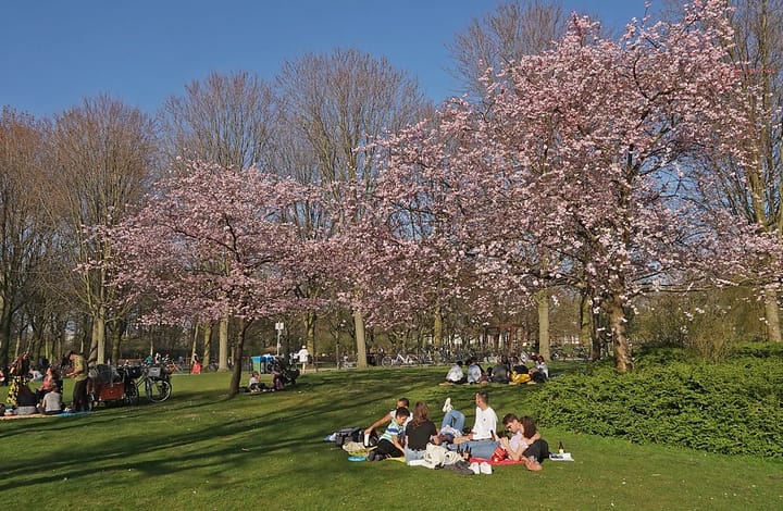 Foto 18 van Bos en Lommerweg 347-1