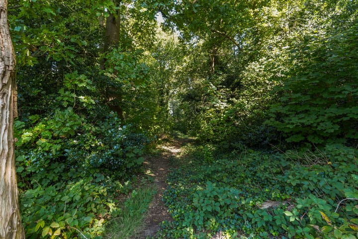 Foto 70 van Papaverstraat 41