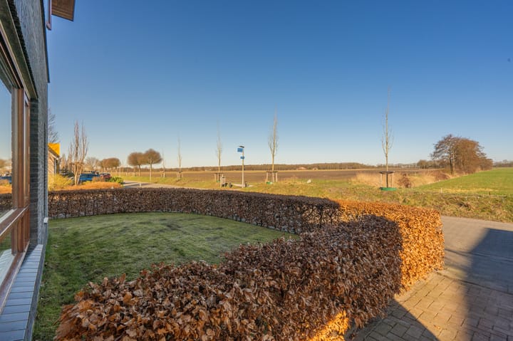 Foto 9 van Bosvaren 32