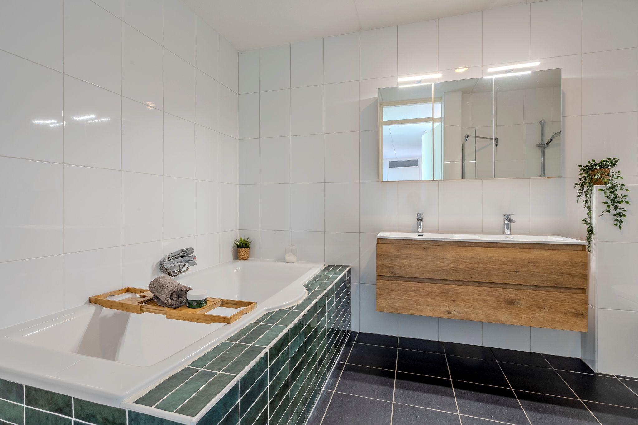 Foto 33 van Bosvaren 32