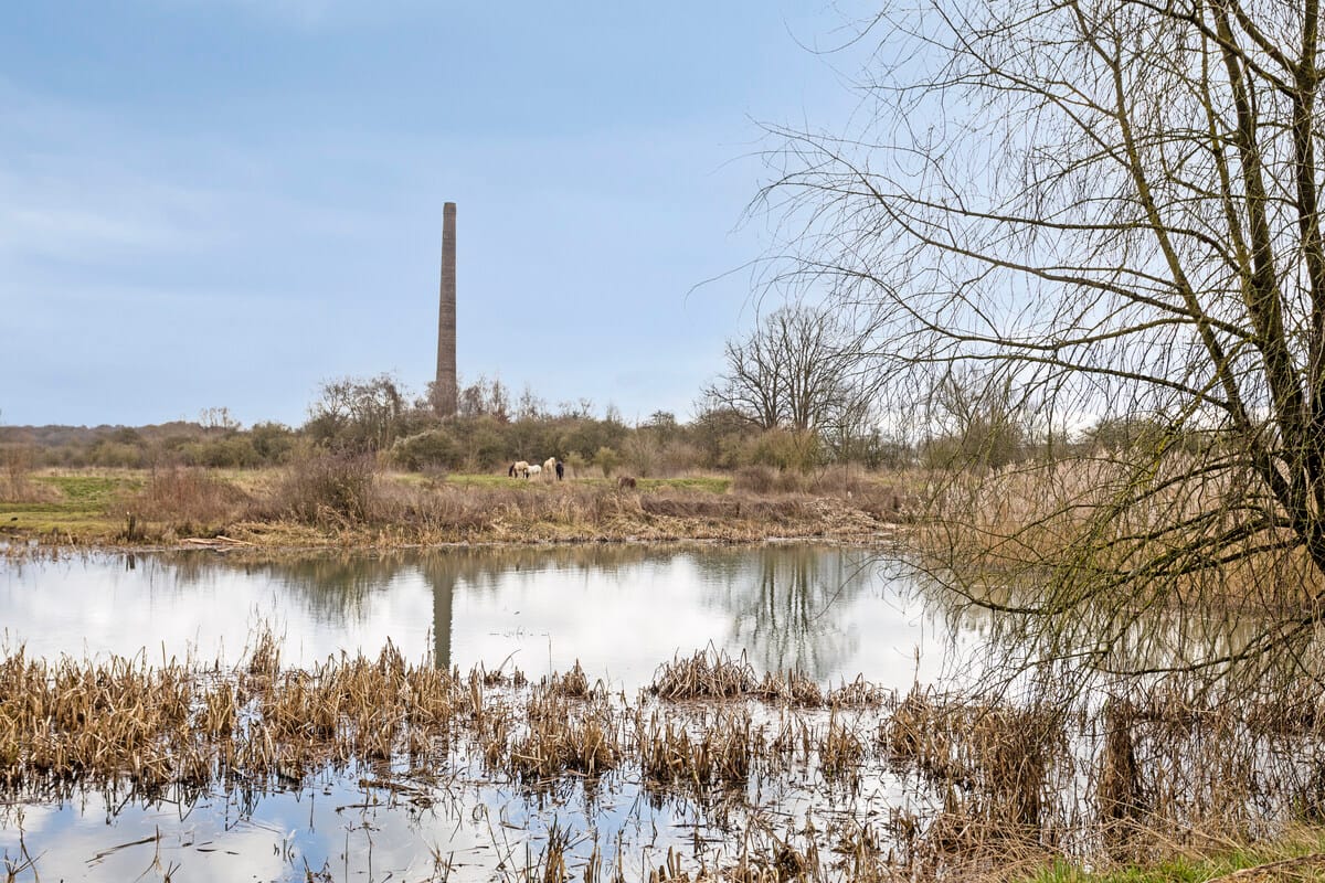 Foto 5 van Generaal Foulkesweg 46-B
