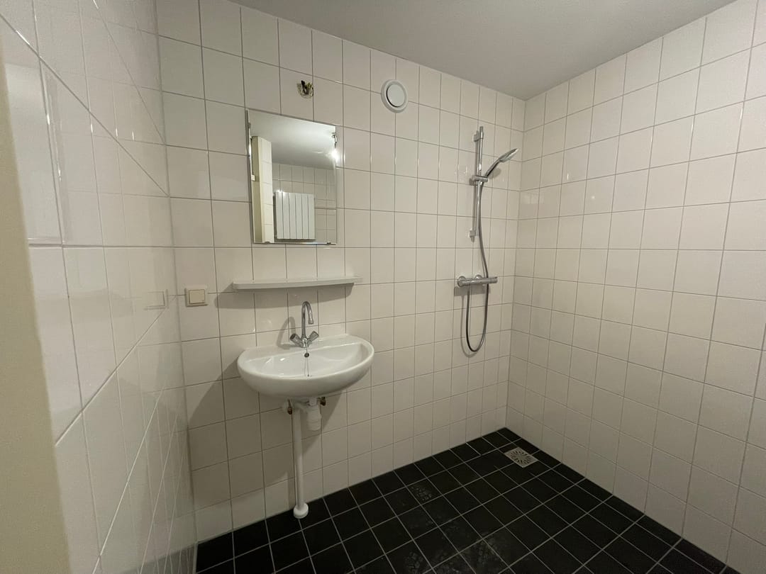 Foto 16 van Ferdinand Bolstraat 148-A