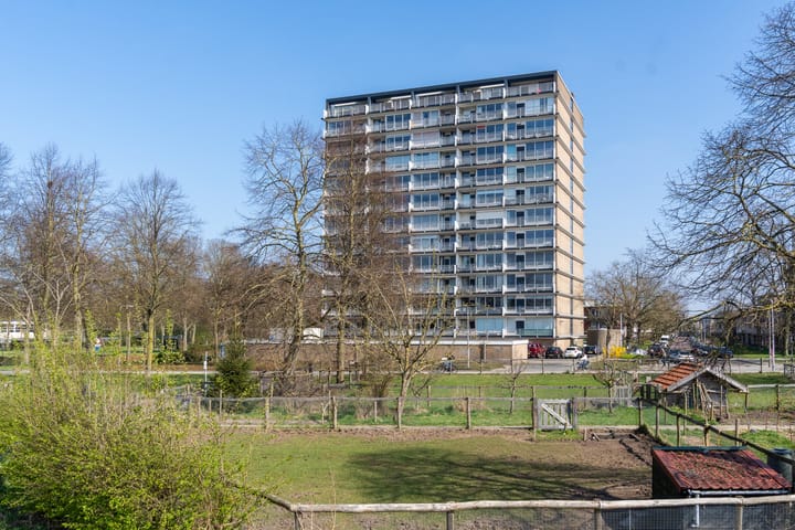 Foto 2 van Händellaan 101