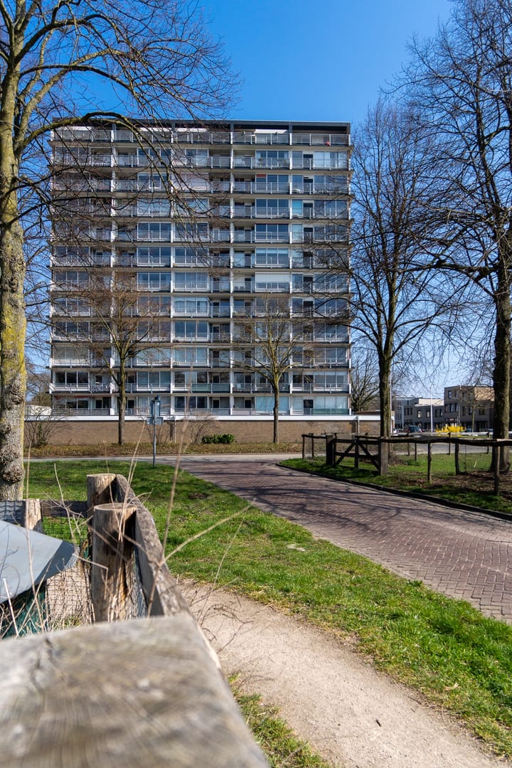 Foto 17 van Händellaan 101