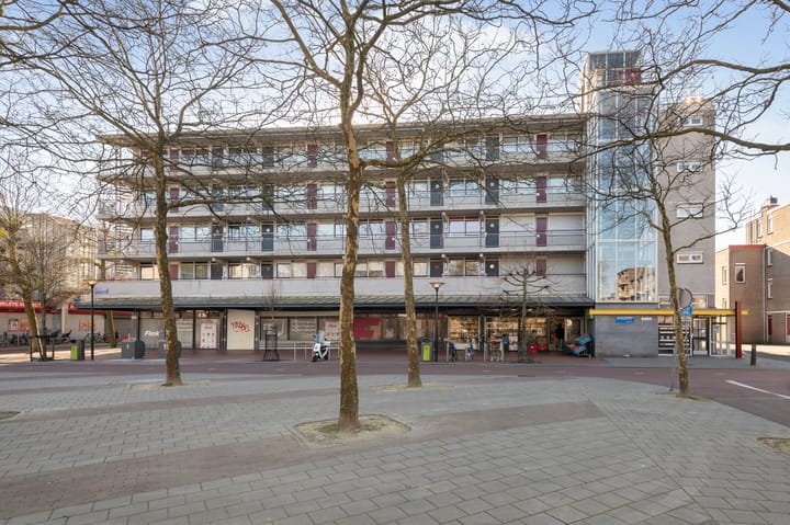 Renswoudestraat 42