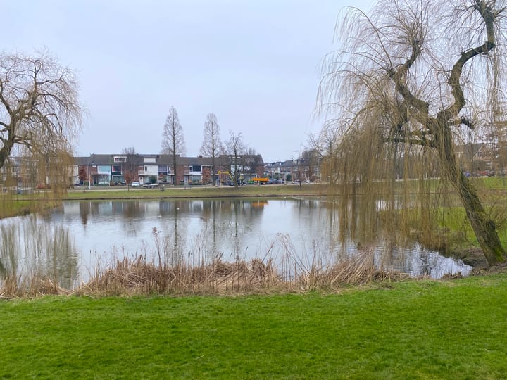 Foto 11 van Oltmansstraat 15