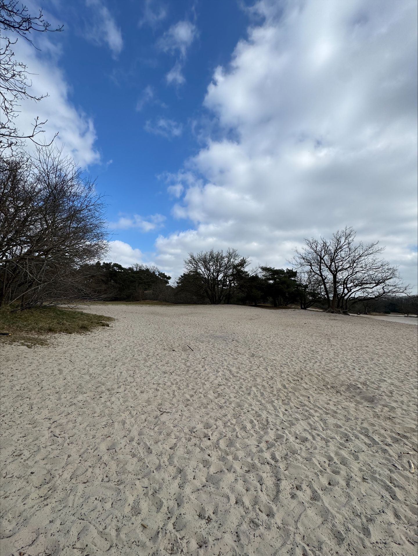 Foto 49 van Hoge Gouw 55