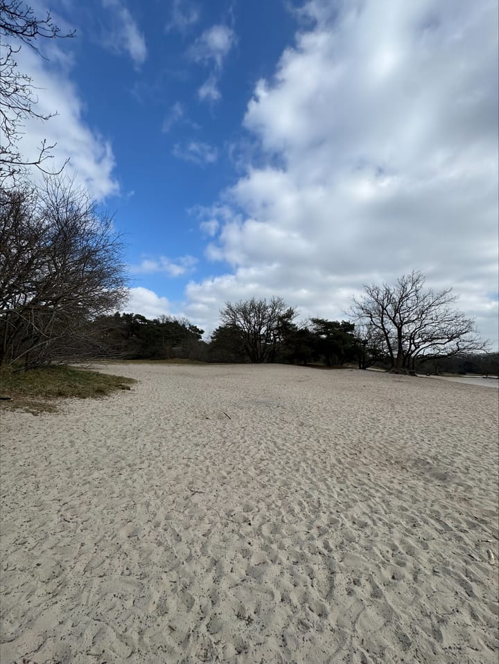 Foto 49 van Hoge Gouw 55