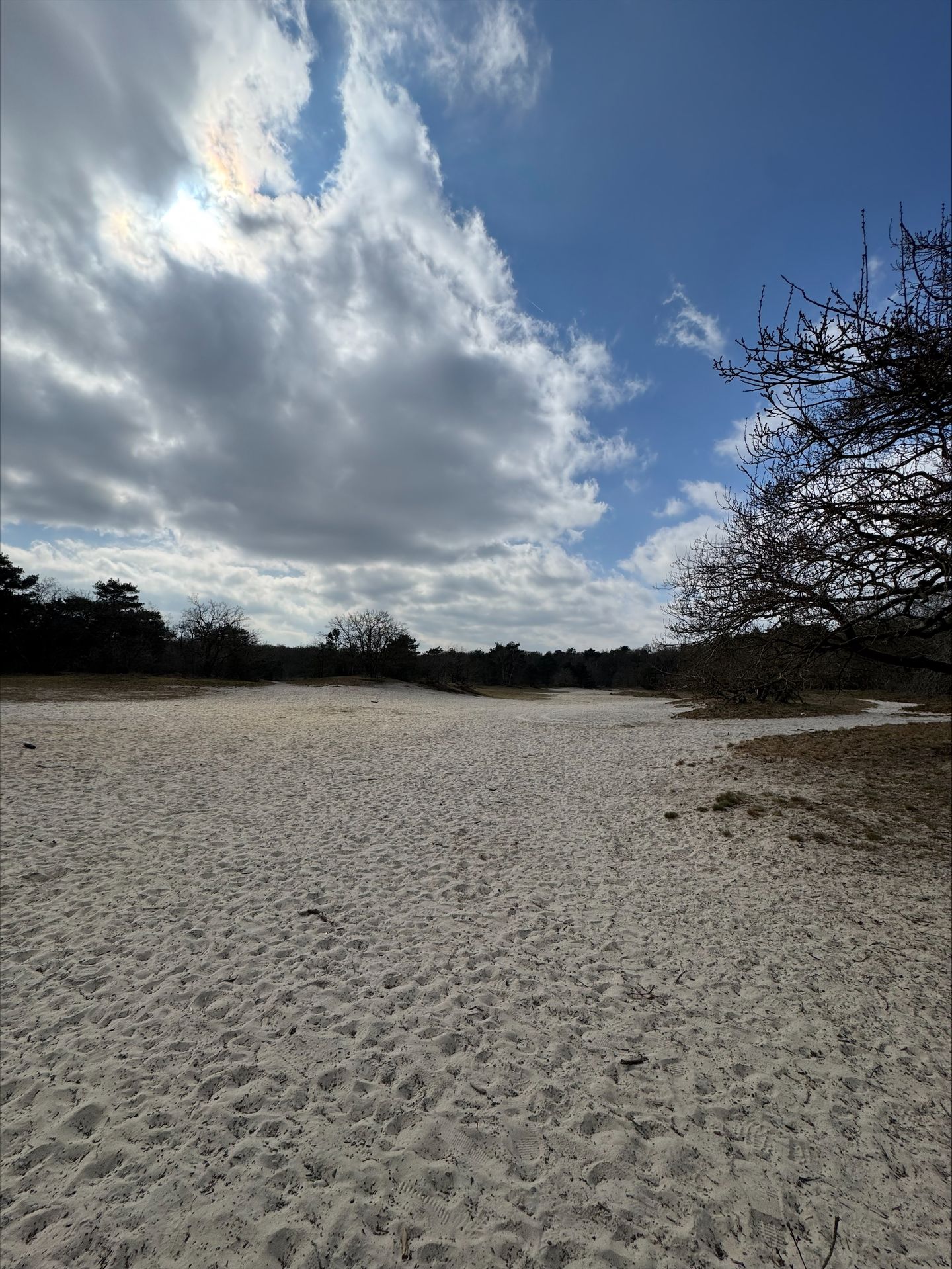 Foto 50 van Hoge Gouw 55