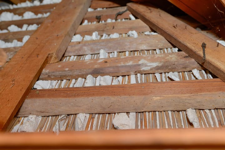 Foto 61 van Verlengde Schrans 54