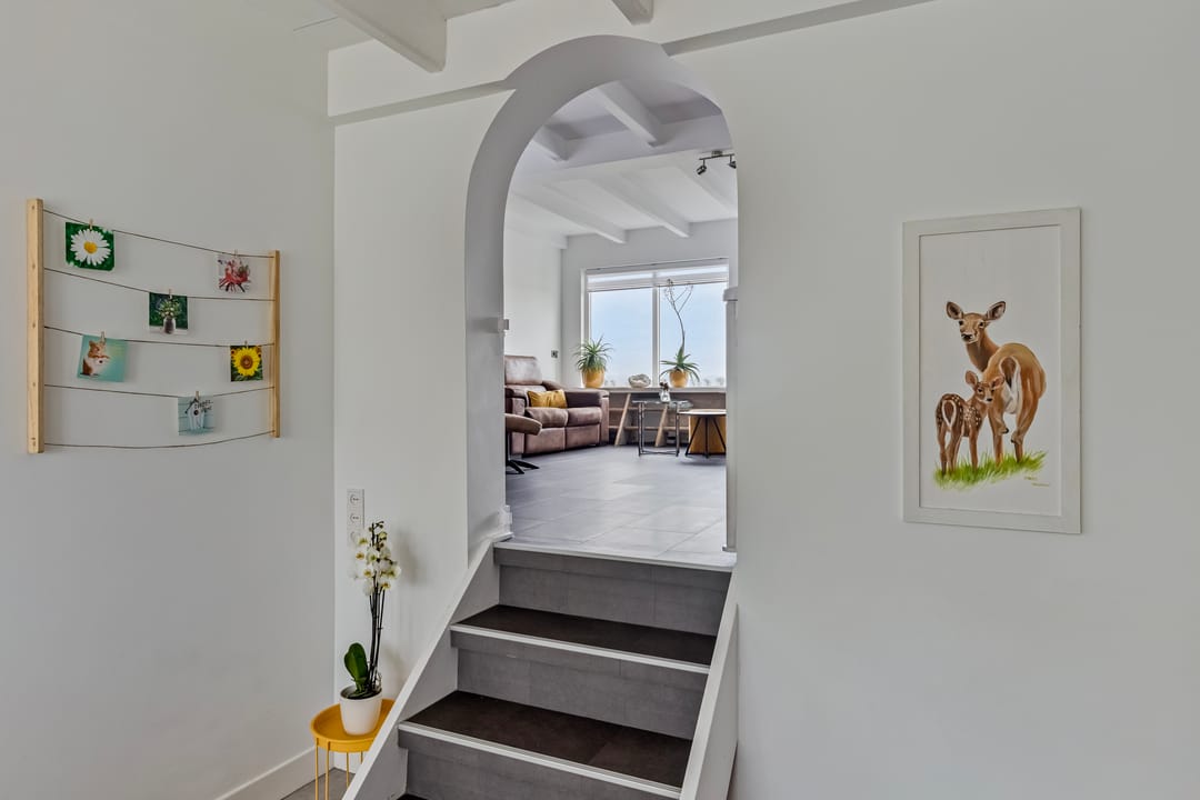 Foto 11 van Molendijk 113