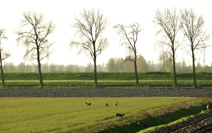 Photo 50 of Molendijk 113