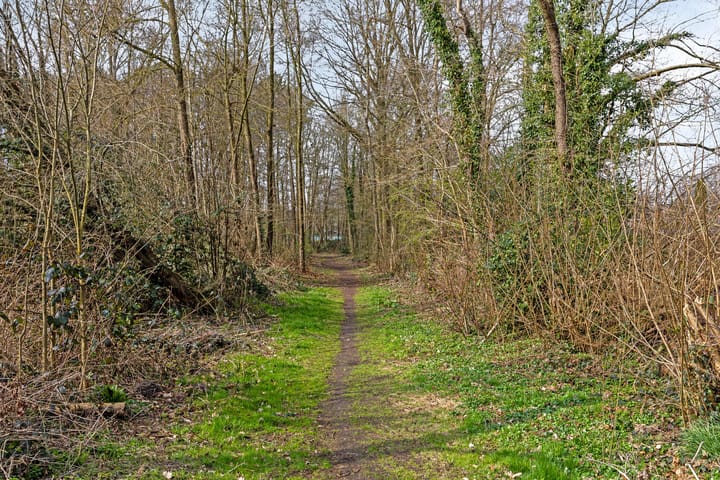 Foto 26 van Julianastraat 72