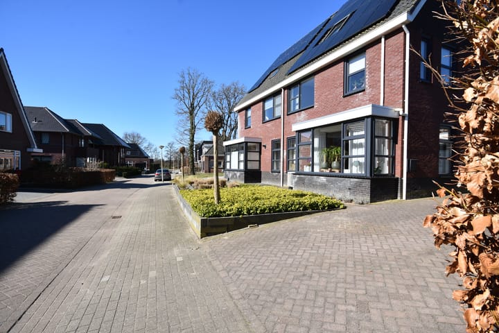 Foto 2 van Swanneblom 21