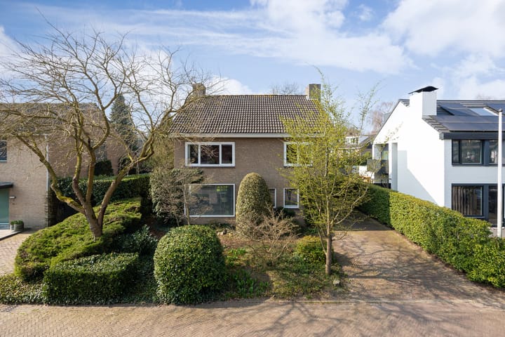 Foto 3 van Dachverliesstraat 7