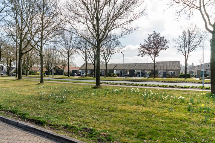 Foto 3 van Wethouder van den Bergplantsoen 13