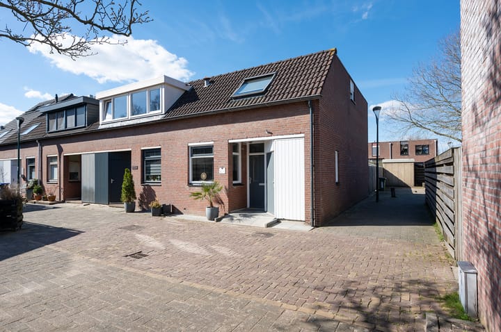 Foto 7 van Kamelenspoor 446