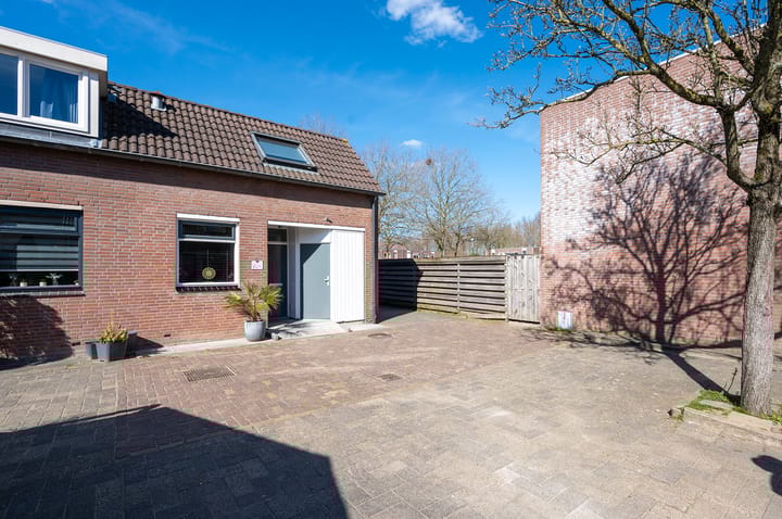 Foto 6 van Kamelenspoor 446