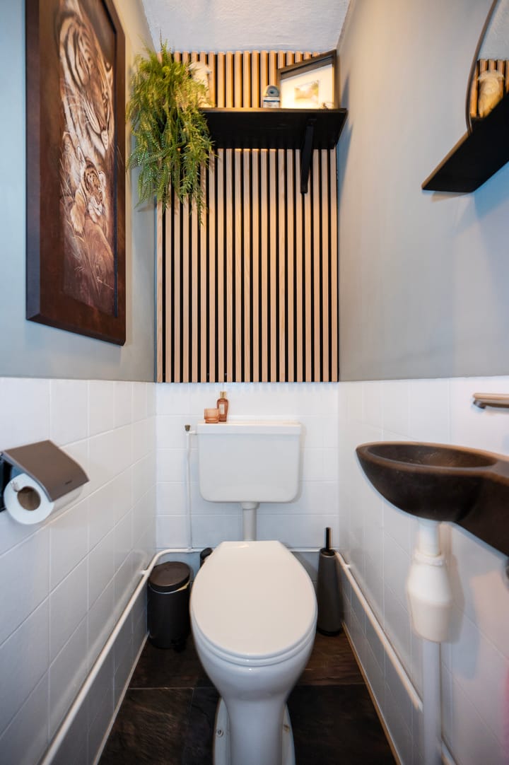 Foto 10 van Kamelenspoor 446