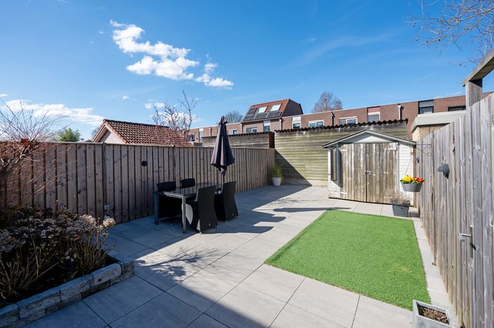 Foto 31 van Kamelenspoor 446