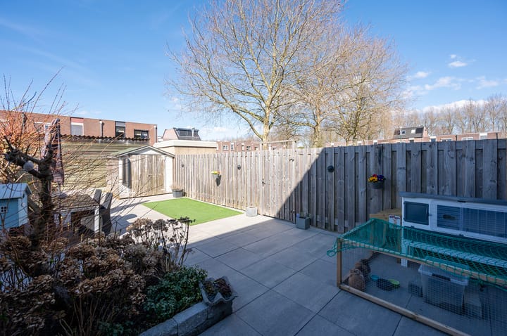 Foto 32 van Kamelenspoor 446