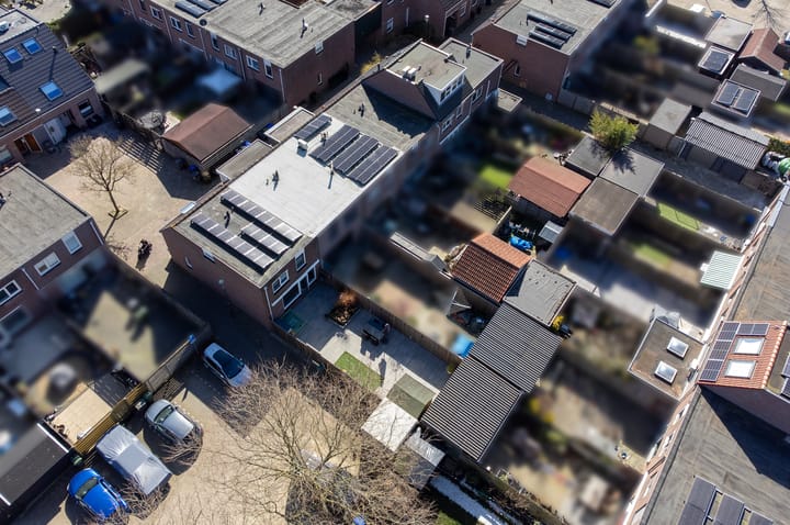 Foto 33 van Kamelenspoor 446