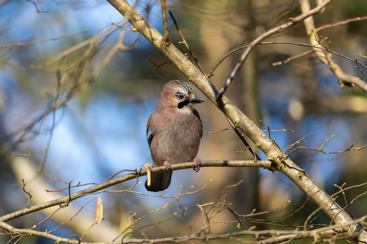 Photo 2 of Broekweg 19