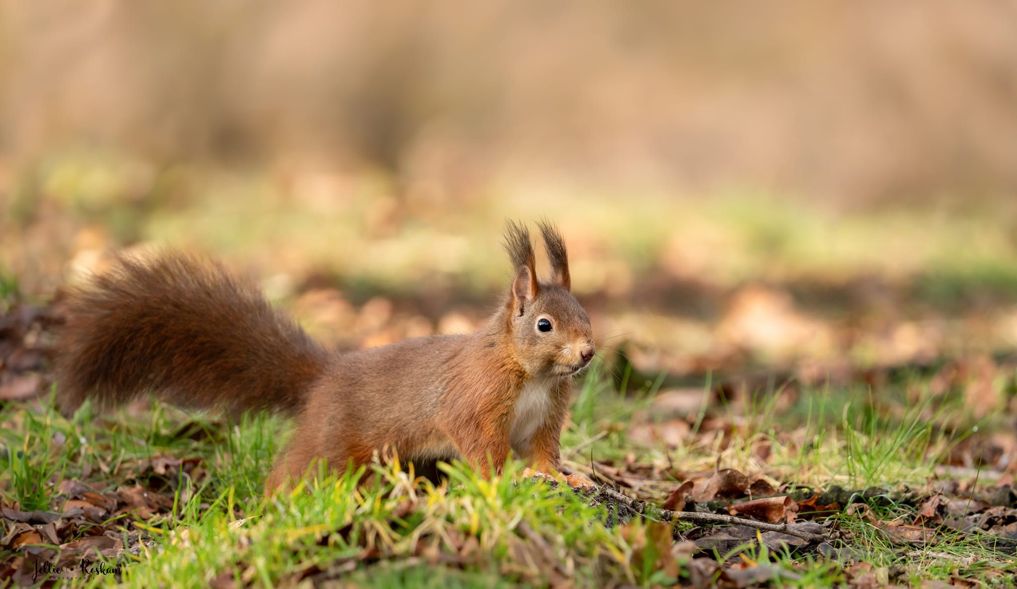 Foto 45 van Broekweg 19